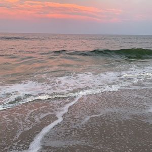 Meet your Posher, Maddie